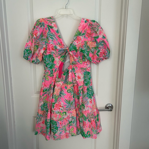 Lilly Pulitzer Nalani Short Sleeve Cotton Dress Journey to the Jungle Size 12 - Picture 3 of 4